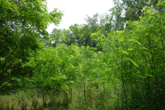 DSC06130