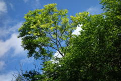 DSC06283