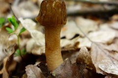 DSC09340