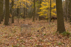 2017-11-microclimate-monitoring-1