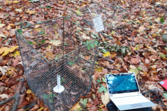 2017-11-microclimate-monitoring