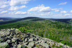 2017-summer-fieldwork-sumava