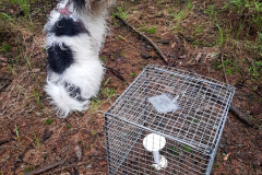 2019-05-29-30-microclimate-monitoring-for-np-sumava