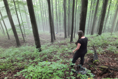 2021-06-plots-in-natural-forests-in-czech-republic