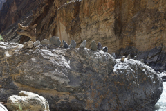1_Ladakh_20220814_061130_fullsize