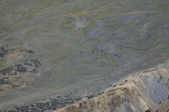 1_Ladakh_20220815_092328_fullsize