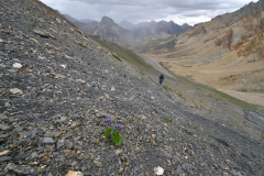 1_Ladakh_20220815_104927_fullsize