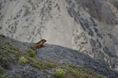 1_Ladakh_20220815_113509_fullsize
