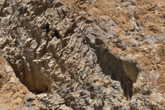 Ladakh_20220814_083545-1_fullsize