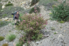 Ladakh_20220815_050547_fullsize