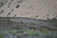 Ladakh_20220815_111611_fullsize