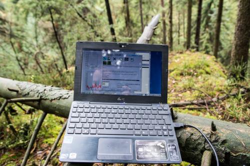 2013-11-bohemian-switzerland-microclimate-monitoring