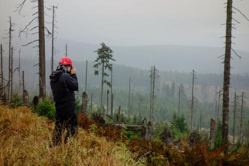 2014-09-windthrow-transects-sumava